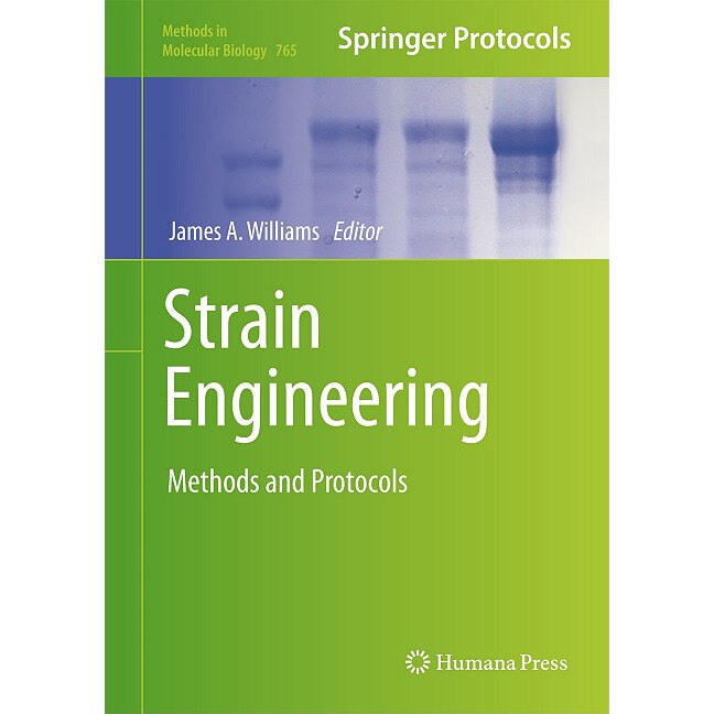 Strain Engineering de James A. Williams