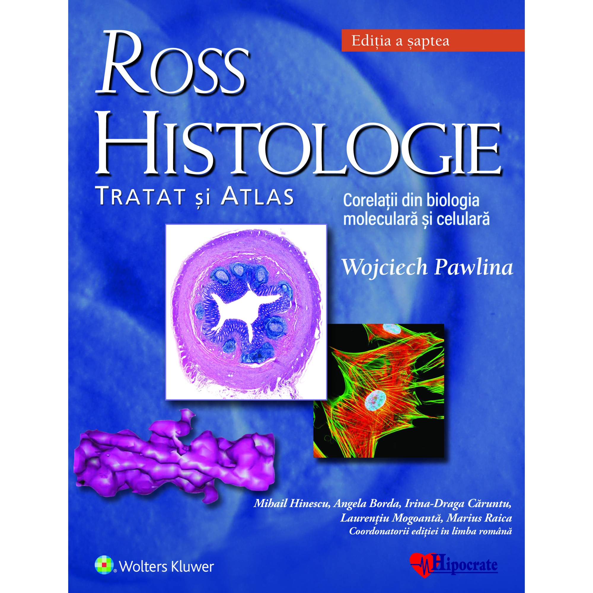 أمل خنفساء سيرا على الاقدام  Ross Histologie: tratat si atlas - eMAG.ro