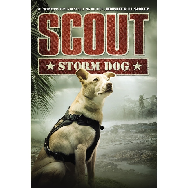 Scout: Storm Dog de Jennifer Li Shotz [Paperback]