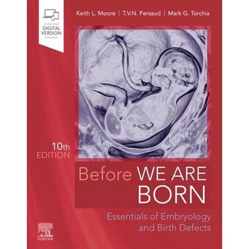 Before We Are Born de Keith L. Moore [Paperback]