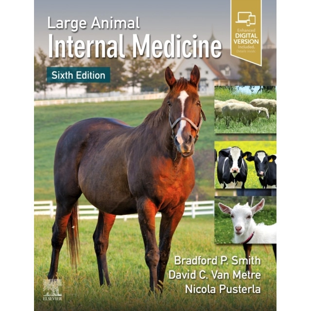 Large Animal Internal Medicine de Bradford P. Smith [Hardback]