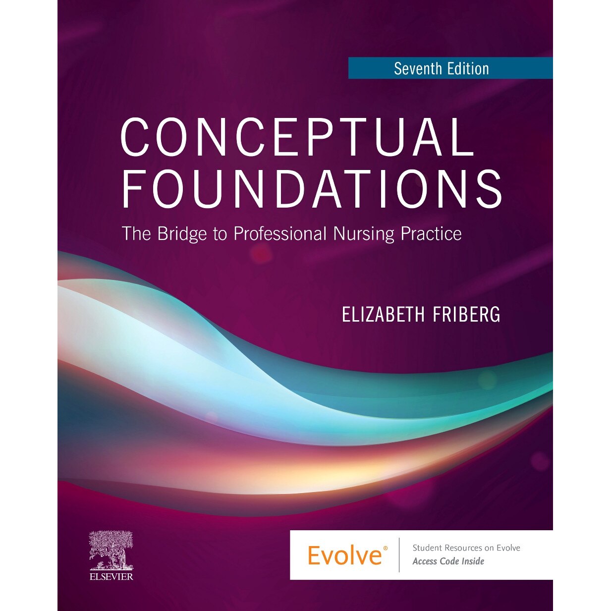 Conceptual Foundations de Elizabeth E. Friberg [Paperback]