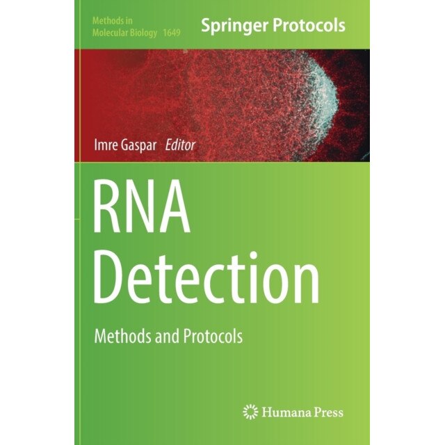RNA Detection de Imre Gaspar