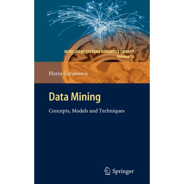 Data Mining de Florin Gorunescu