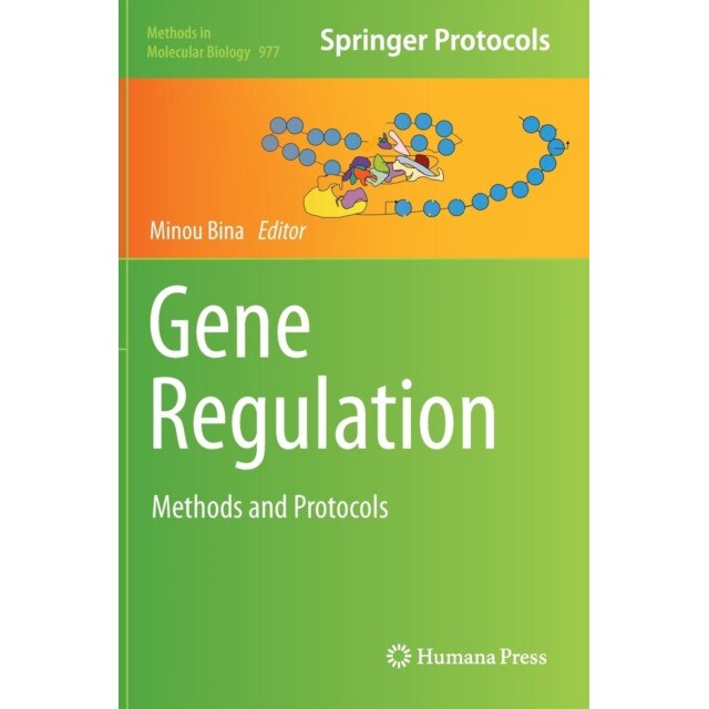 Gene Regulation de Minou Bina [Hardback]