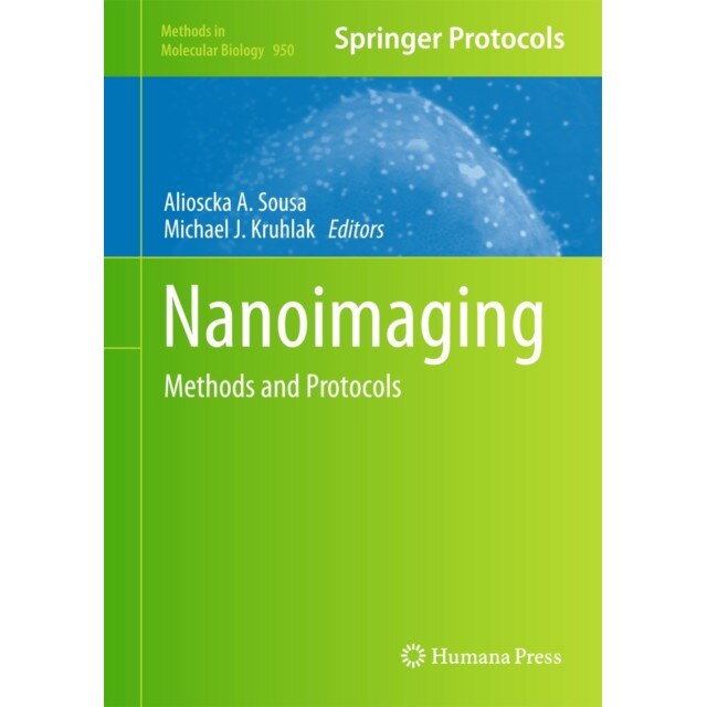 Nanoimaging de Alioscka A. Sousa [Hardback]