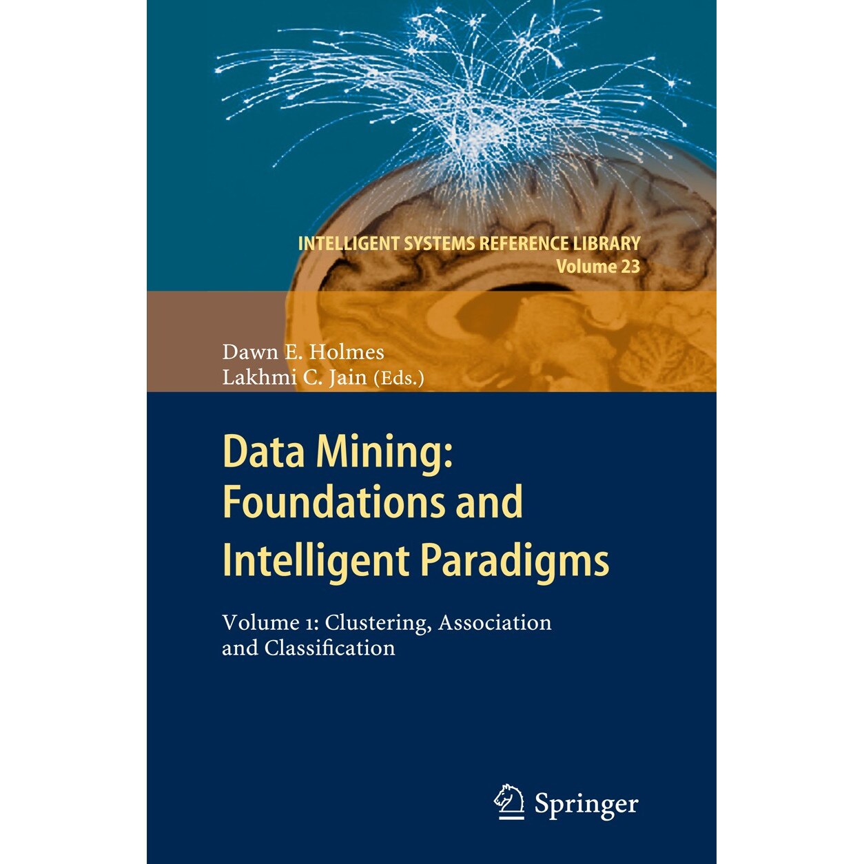 Data Mining: Foundations and Intelligent Paradigms de Dawn E. Holmes