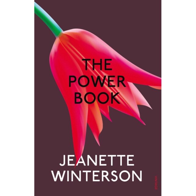 The Powerbook de Jeanette Winterson