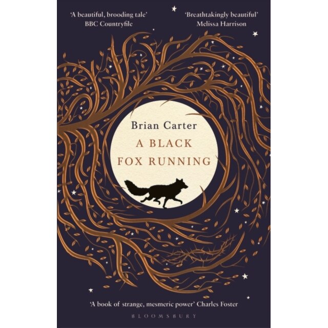 A Black Fox Running de Brian Carter