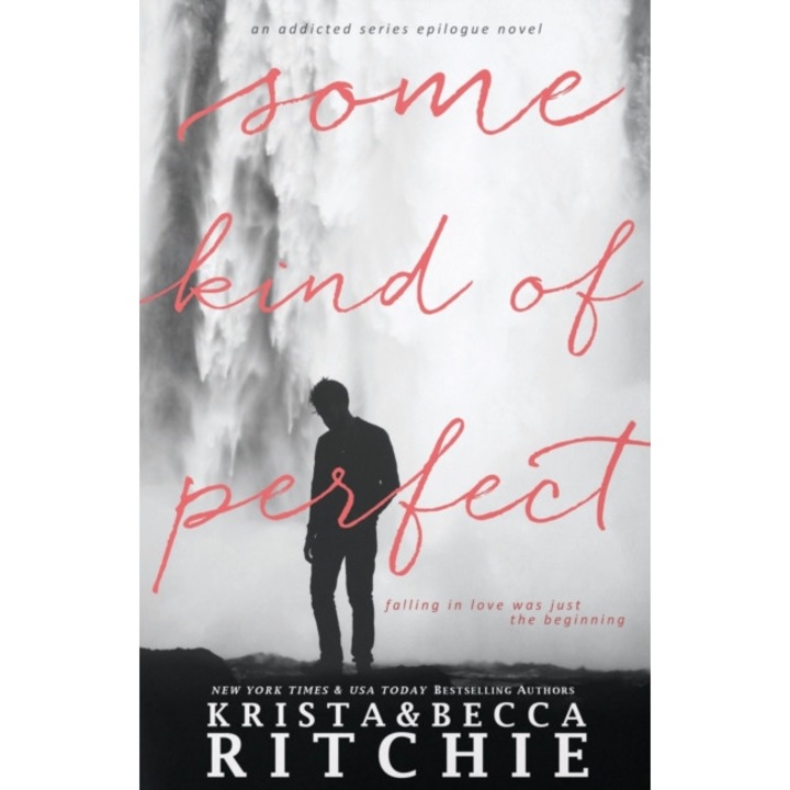 Some Kind of Perfect de Krista Ritchie