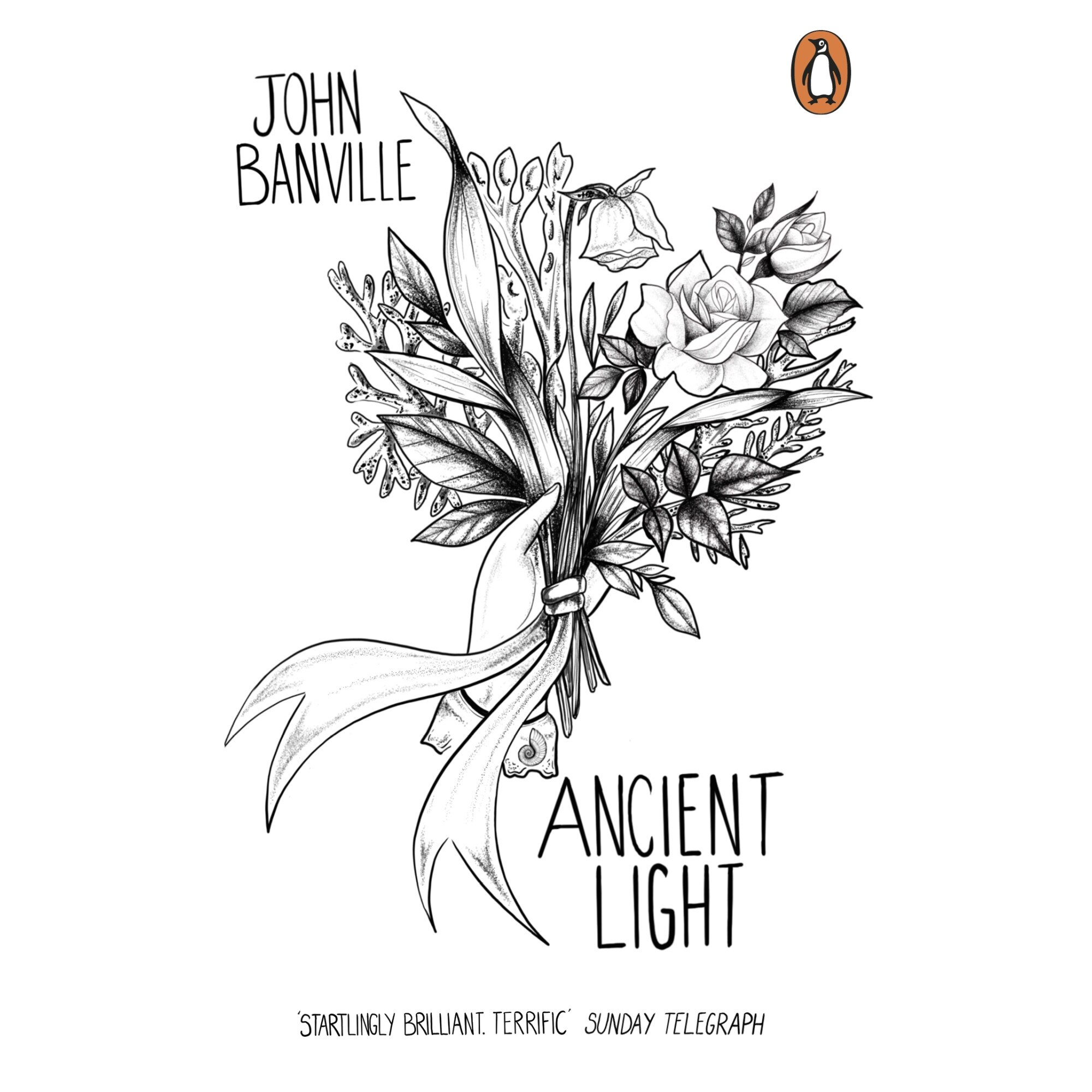 Ancient Light de John Banville [Paperback]