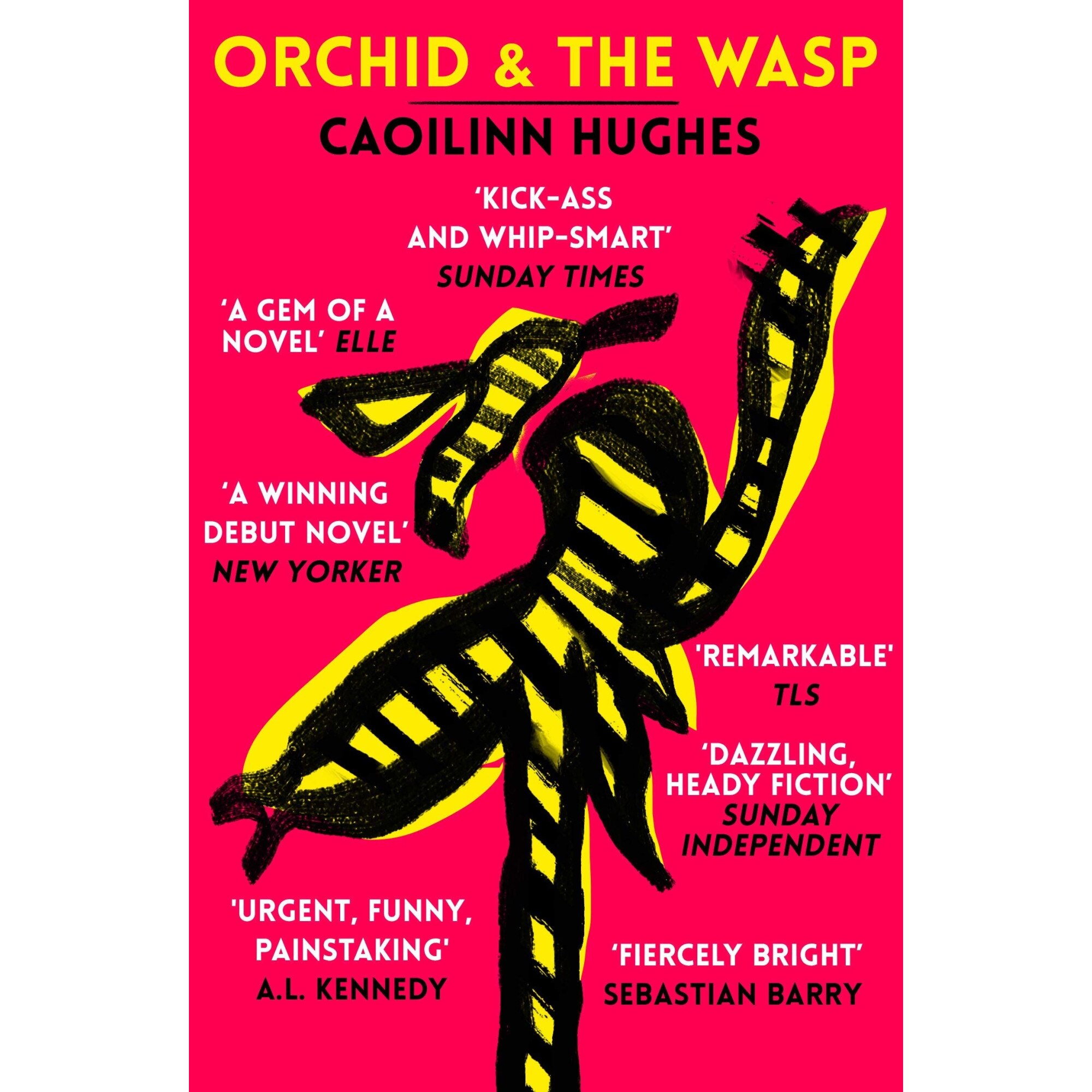Orchid & the Wasp de Caoilinn Hughes [Paperback]