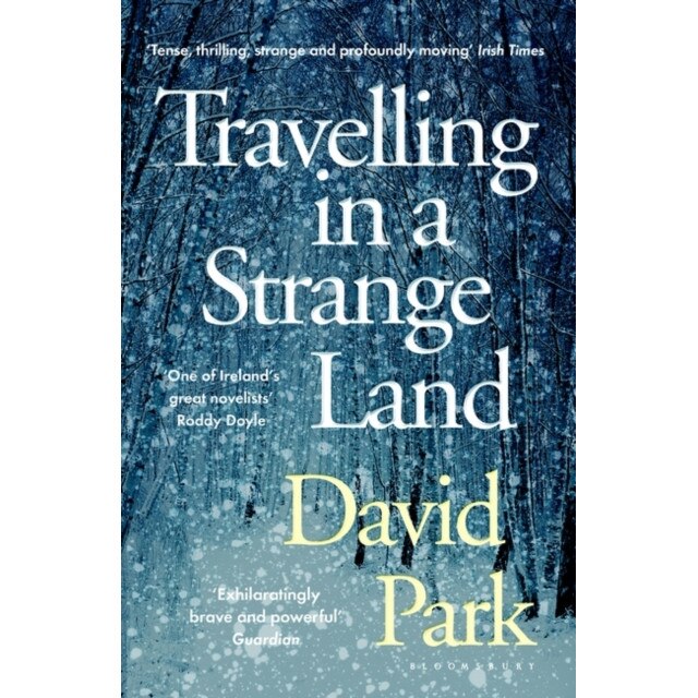 Travelling in a Strange Land de David Park [Paperback]