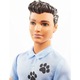 Set de joaca Barbie papusa Ken dresor de caini, 30cm, 3 ani+