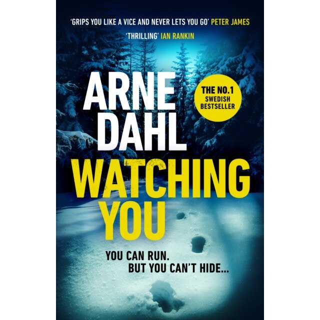 Watching You de Arne Dahl [Paperback]