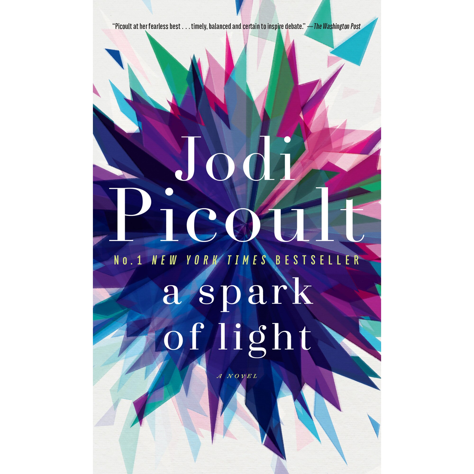 A Spark of Light de Jodi Picoult [Paperback] 11/06/19
