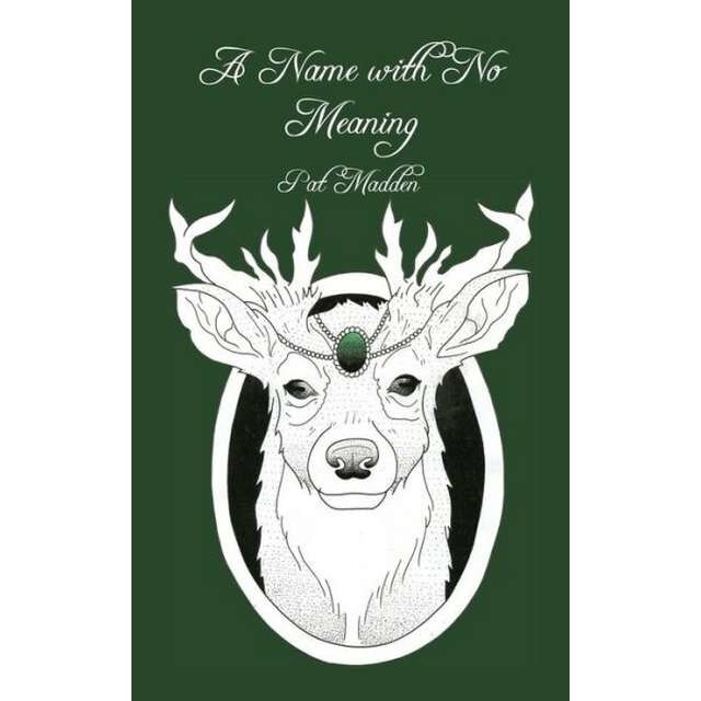 A Name with No Meaning de Pat Madden