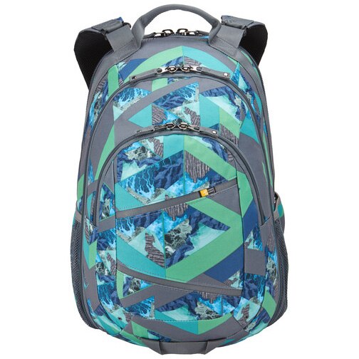 case logic berkeley 2