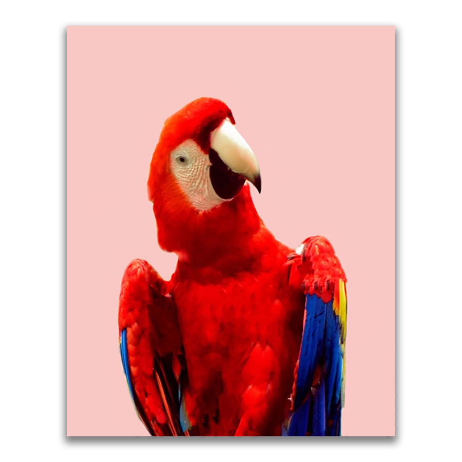 Tablou Canvas - Animal, Pasare, Papagal, Color, 24 x 30 cm