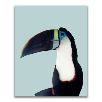 Tablou Canvas - Animal, Pasare, Tucan, 24 x 30 cm Tablou Canvas - Animal, Pasare, Tucan, 24 x 30 cm