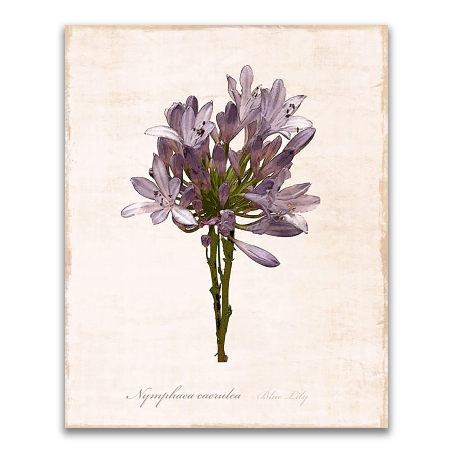 Tablou Canvas - Flori, Floare, Primavara, Mov, 24 x 30 cm