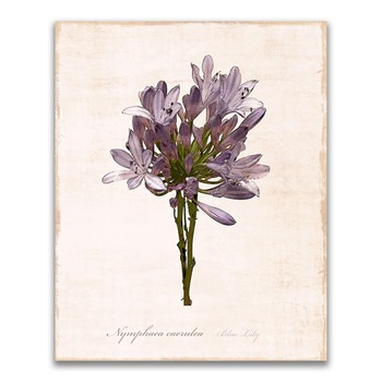 Tablou Canvas - Flori, Floare, Primavara, Mov, 80 x 100 cm Tablou Canvas - Flori, Floare, Primavara, Mov, 80 x 100 cm