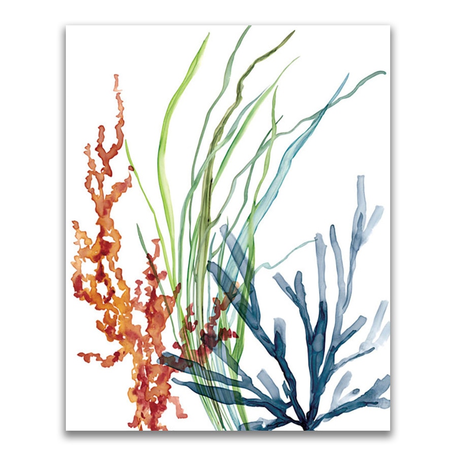 Tablou Canvas - Coral, Ocean, Apa, 24 x 30 cm