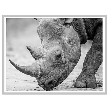 Tablou inramat  Tablou inramat