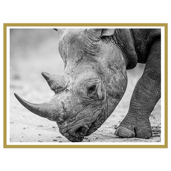 Tablou inramat  Tablou inramat