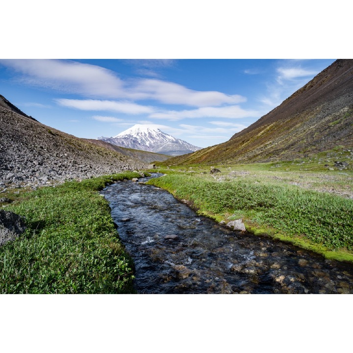 Autocolant Natura80, 270 x 200 cm