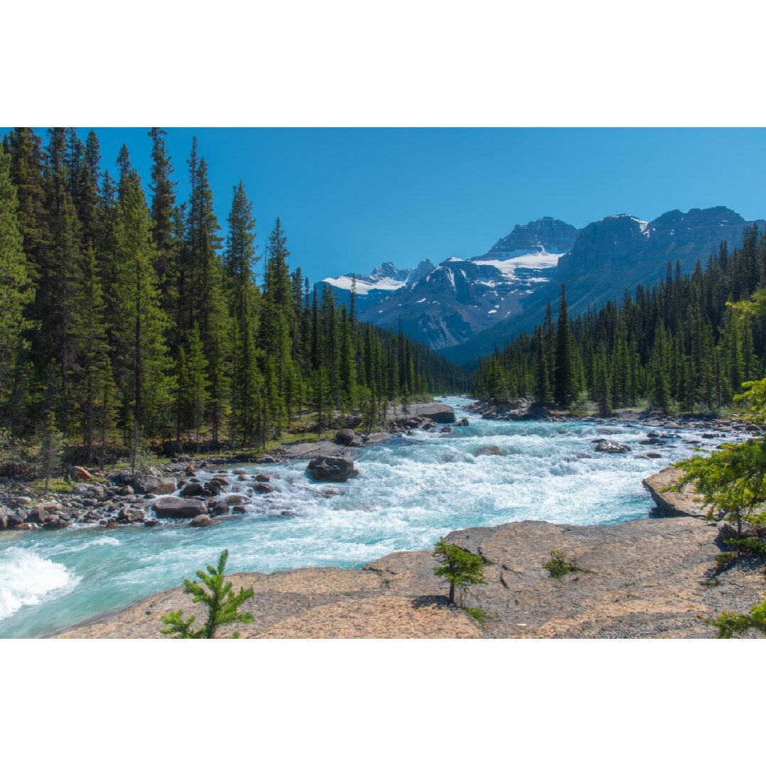 Tablou canvas Natura56, 105 x 70 cm