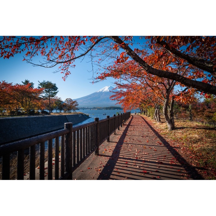 Tapéta Natura44, 400 x 250 cm