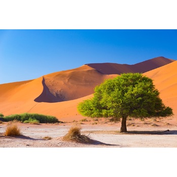 Tablou canvas Natura93, 45 x 30 cm Tablou canvas Natura93, 45 x 30 cm