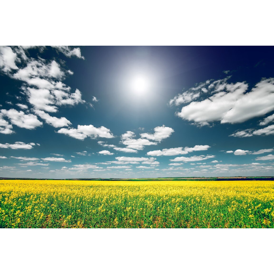 Fototapet de perete autoadeziv si lavabil Natura65, 220 x 135 cm