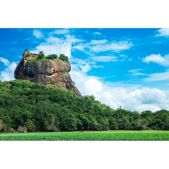 Tablou canvas Natura40, 105 x 70 cm Tablou canvas Natura40, 105 x 70 cm