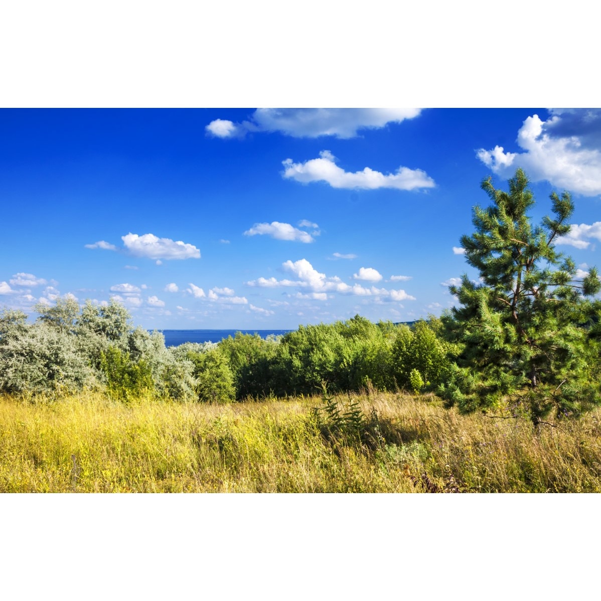 Tablou canvas Natura48, 105 x 70 cm