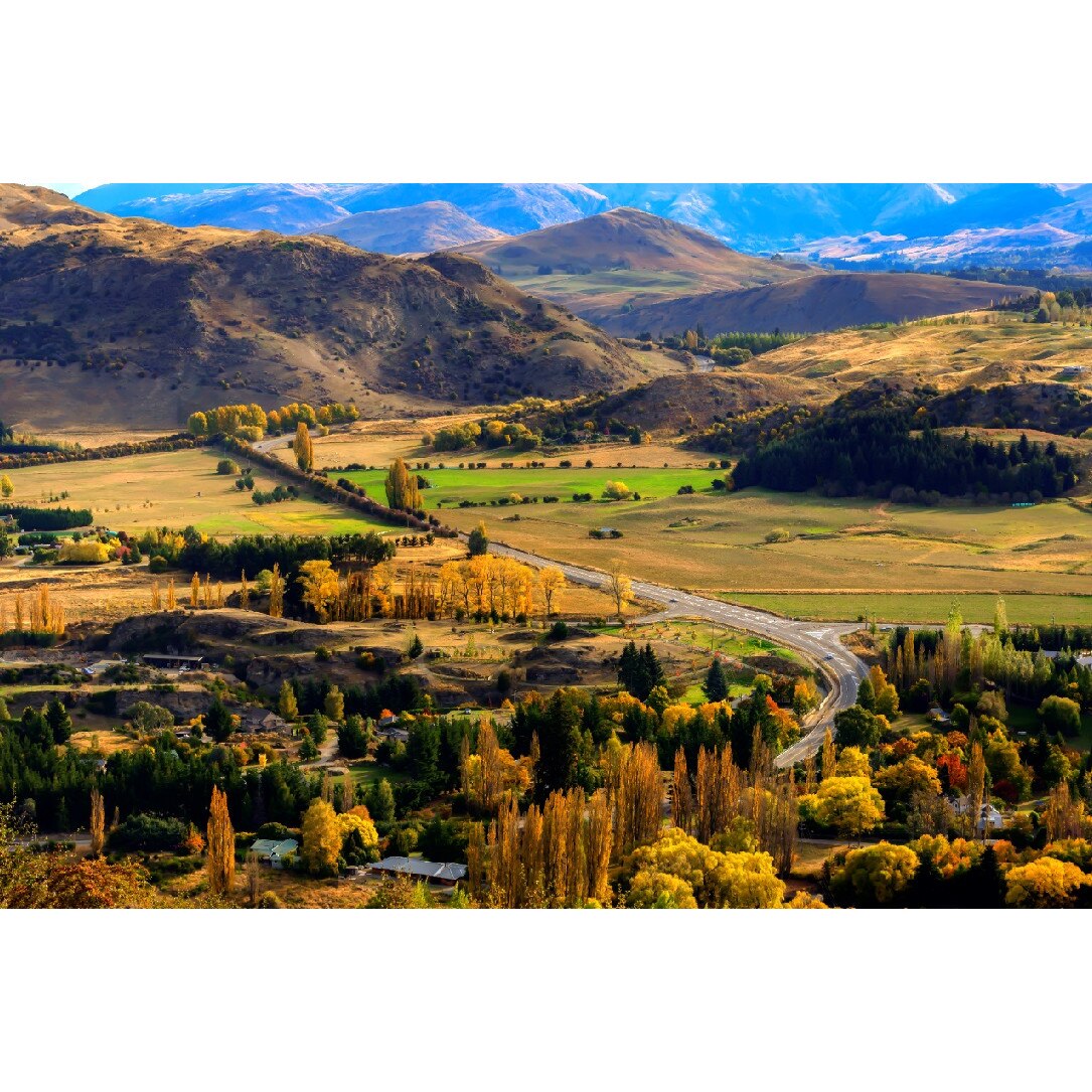 Tablou canvas Natura57, 75 x 50 cm