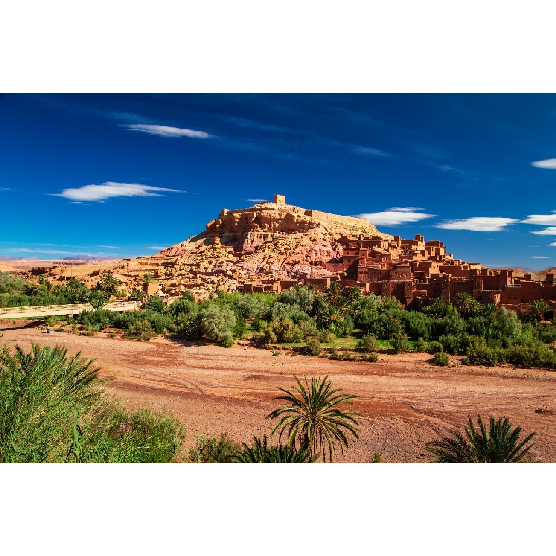 Tablou canvas Natura53, 105 x 70 cm