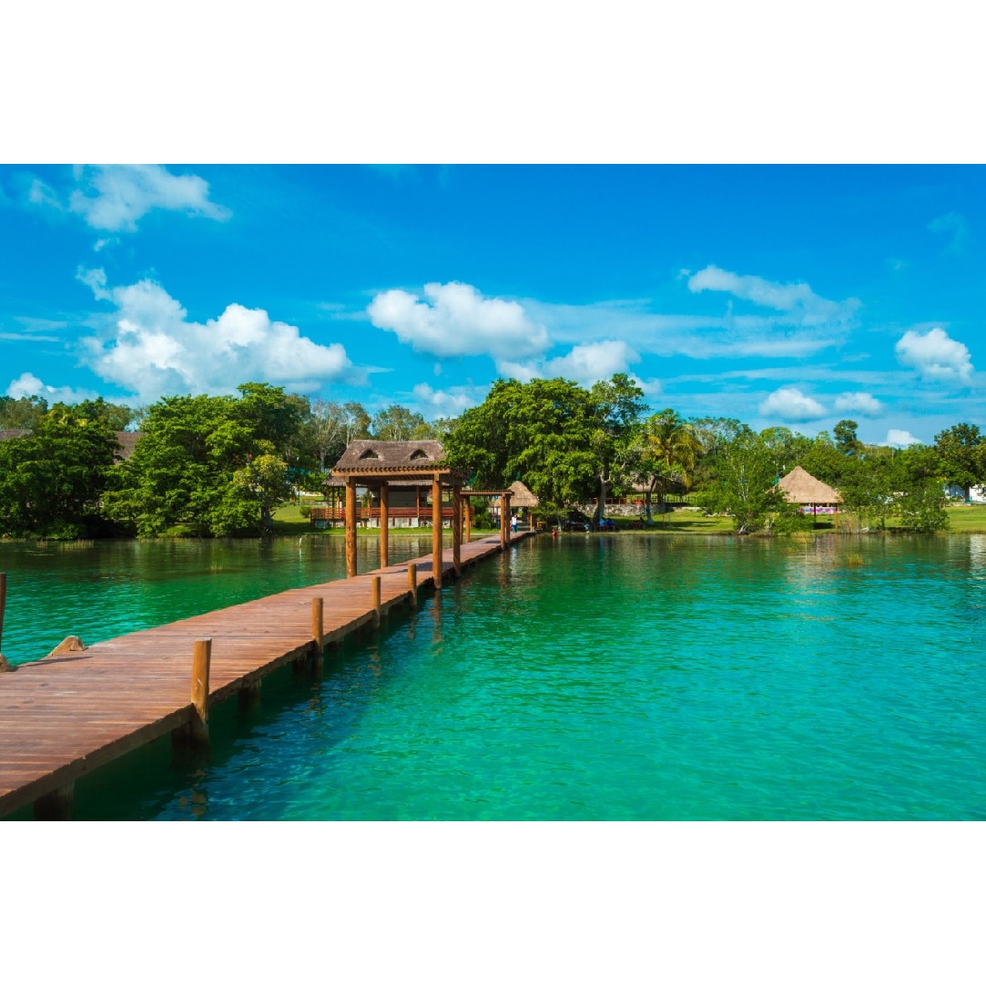 Tablou canvas Natura29, 105 x 70 cm