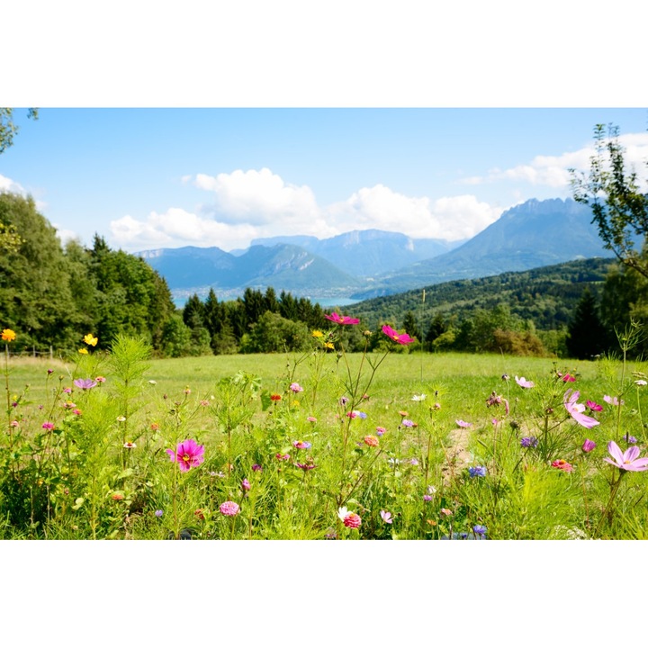 Fototapet de perete autoadeziv si lavabil Natura110, 220 x 135 cm