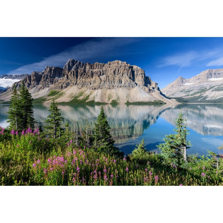 Fototapet de perete autoadeziv si lavabil Natura43, 220 x 135 cm