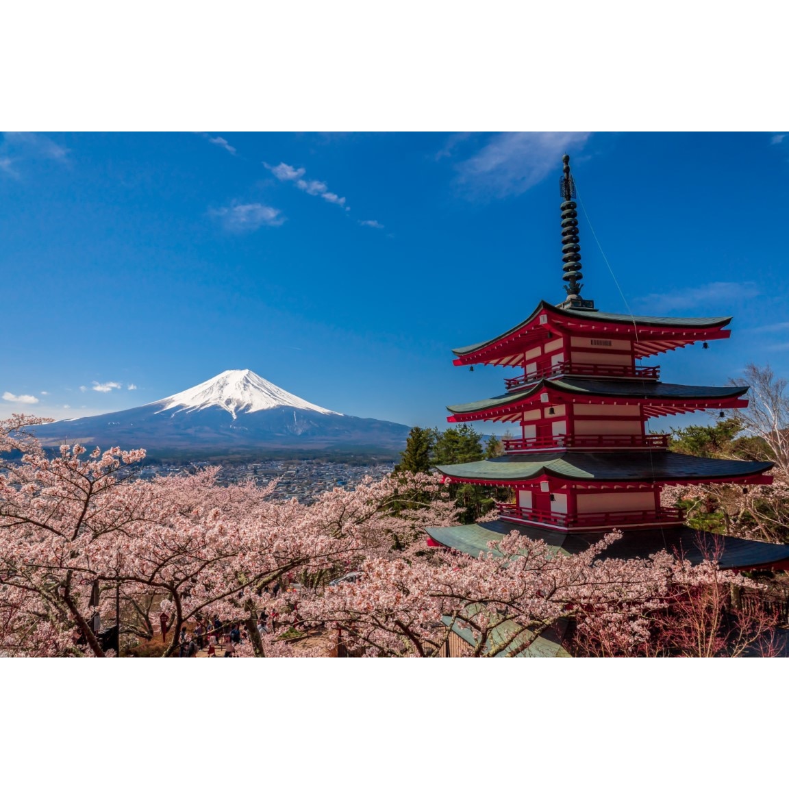 Fototapet de perete autoadeziv si lavabil Natura45, 220 x 135 cm