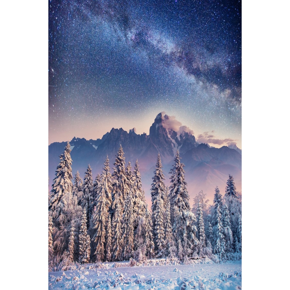 Tablou canvas Natura111, 40 x 60 cm