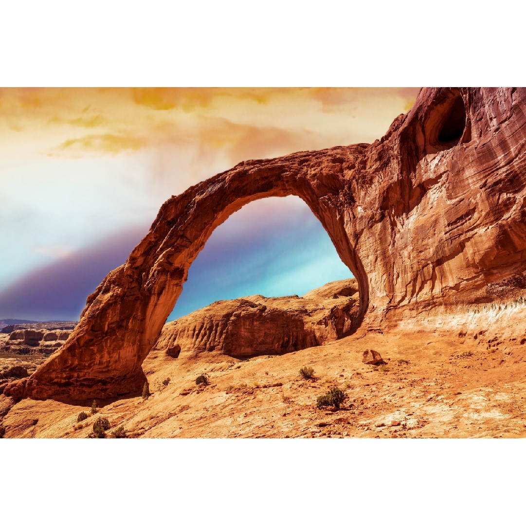 Tablou canvas Natura74, 105 x 70 cm