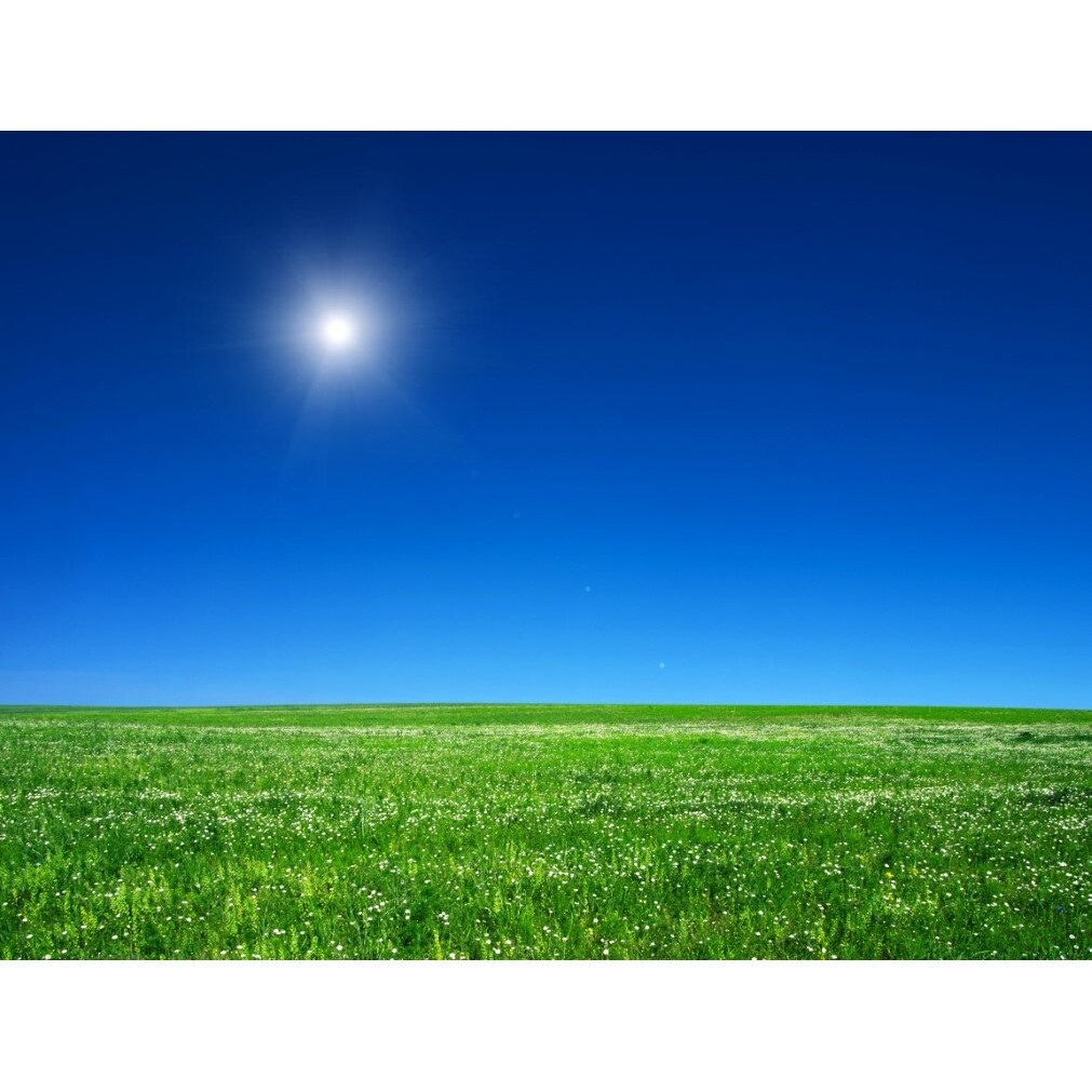 Tablou canvas Natura102, 90 x 60 cm