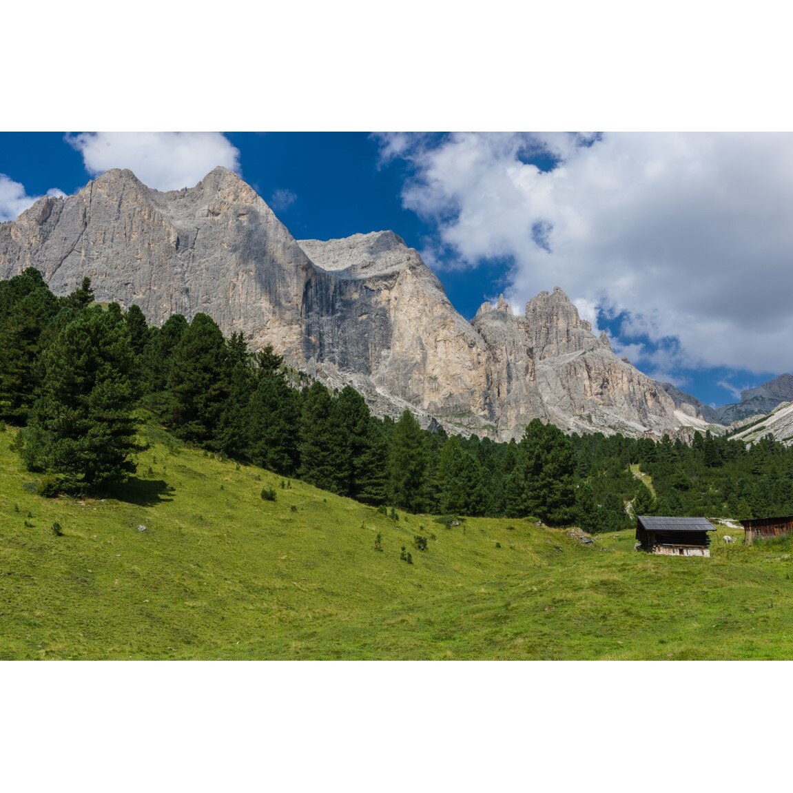 Tablou canvas Natura47, 45 x 30 cm