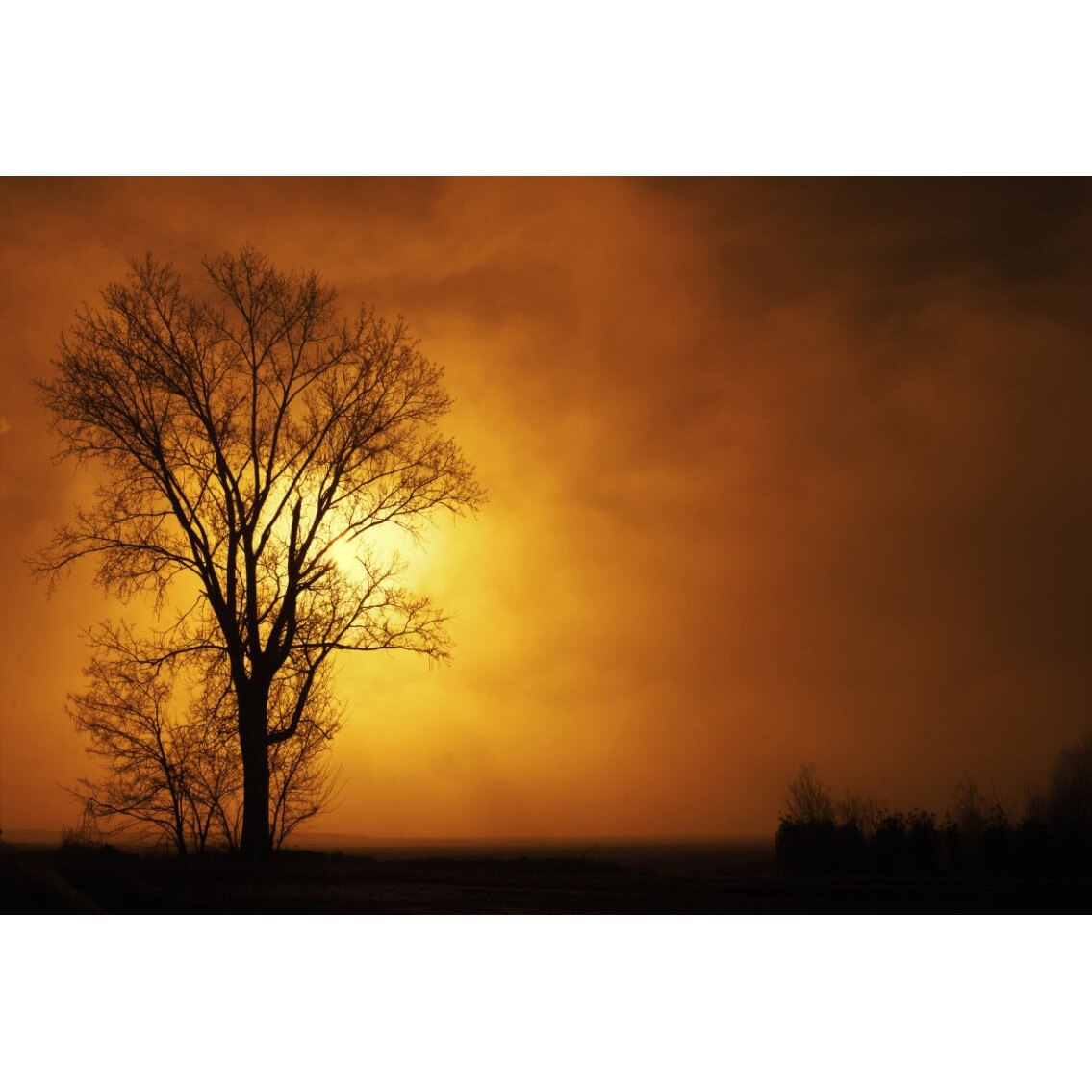 Tablou canvas Natura84, 105 x 70 cm