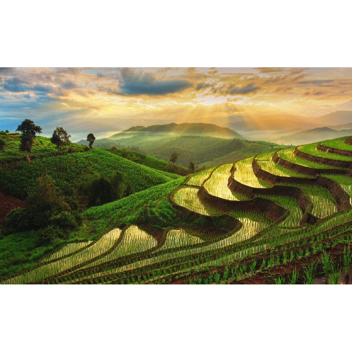 Fototapet de perete autoadeziv si lavabil Natura87, 220 x 135 cm