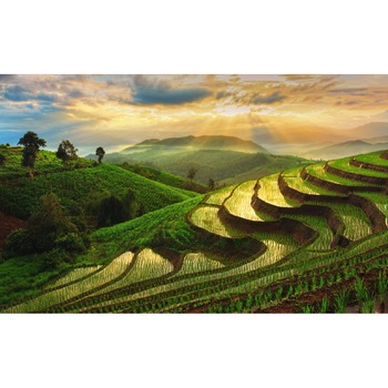 Tablou canvas Natura87, 90 x 60 cm Tablou canvas Natura87, 90 x 60 cm