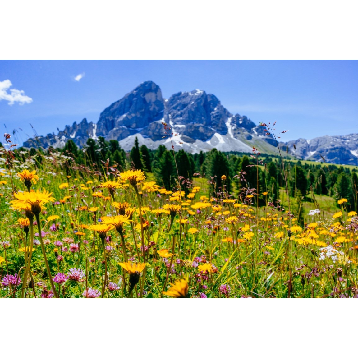 Tablou canvas Natura101, 105 x 70 cm